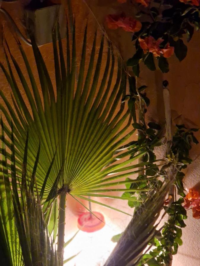Privatunterkunft Maison Noe , Al Quaria , Ab40 *